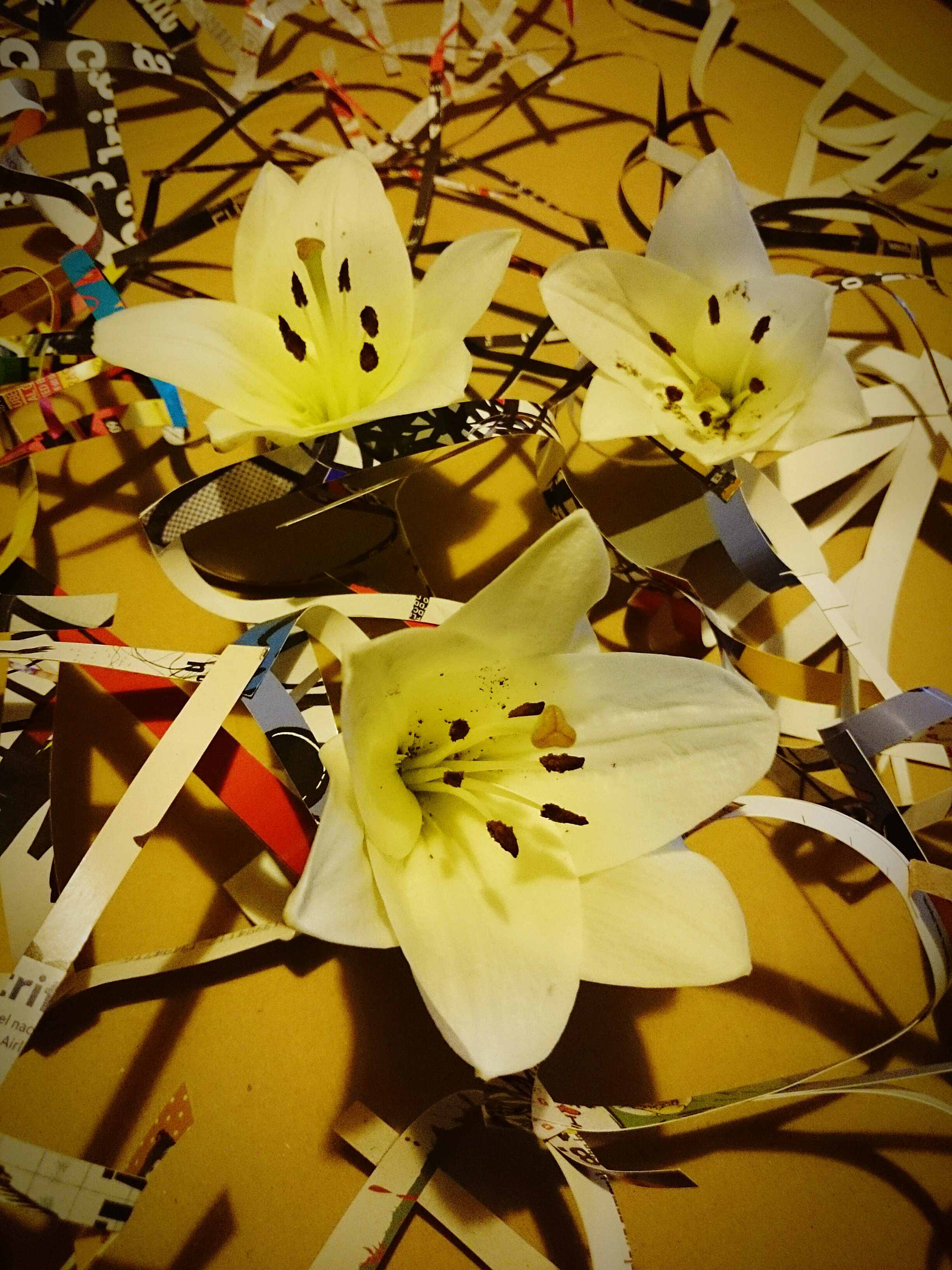 Мелодист: Искусство создания незабываемых мелодий